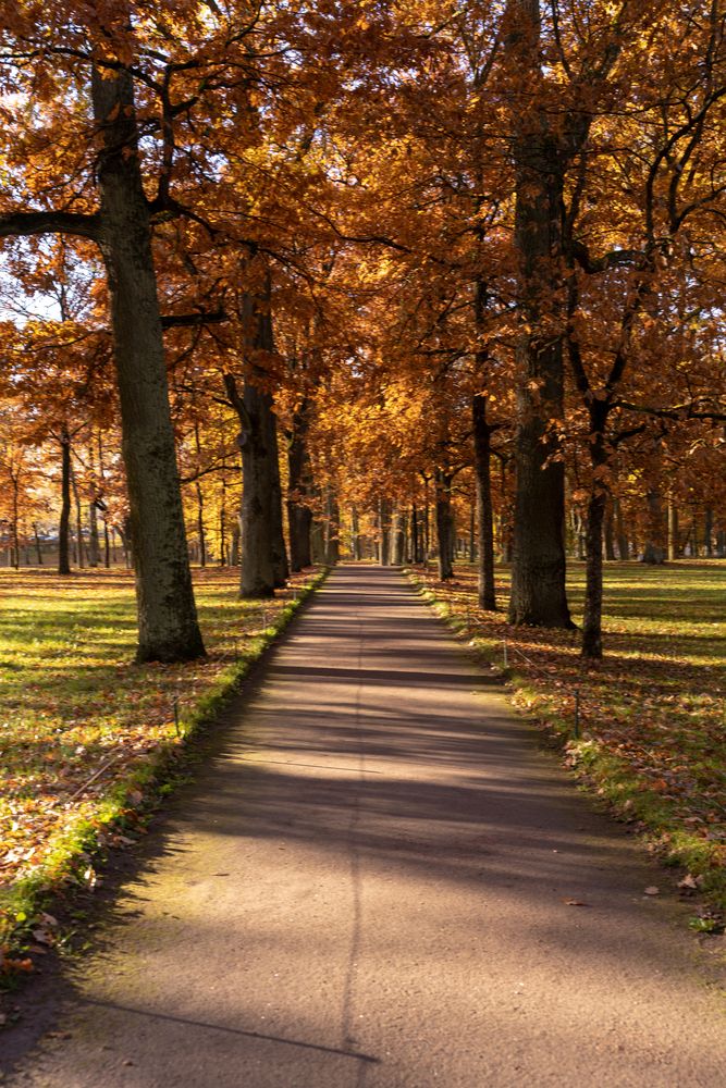 Photograph by Александр Кочергин