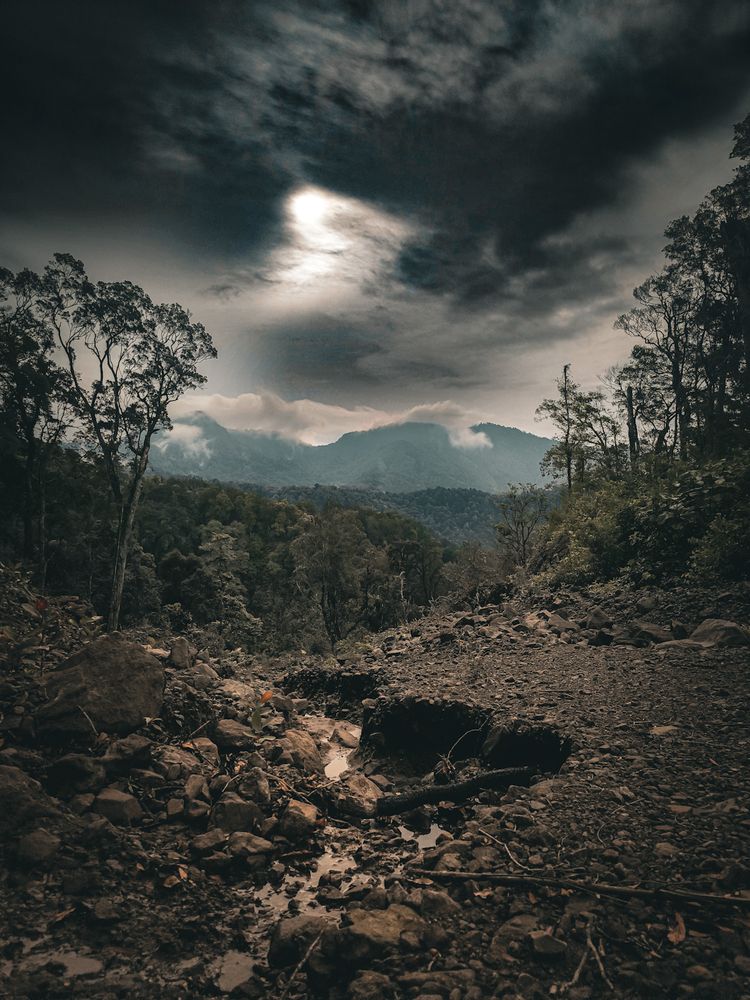 Photograph by sutan naga effendy