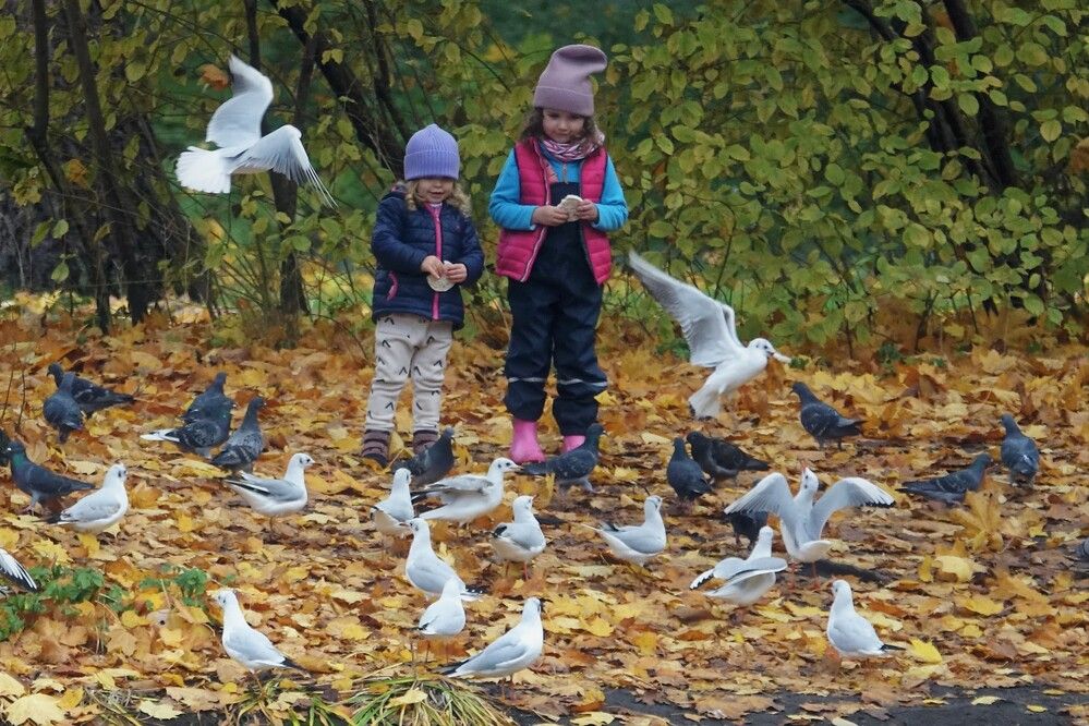 Photograph by jelena konickaja