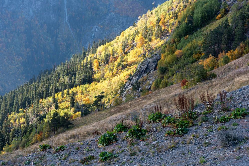 Photograph by Сергей Звягинцев