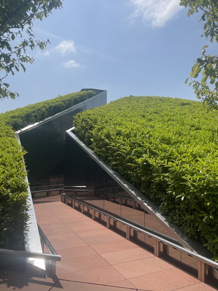 Фотография автора Юлия Новичихина