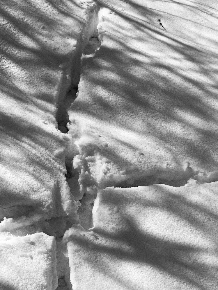 Photograph by Аряева Анна