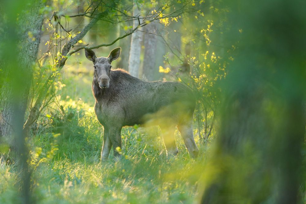 Photograph by Artur Kokociński