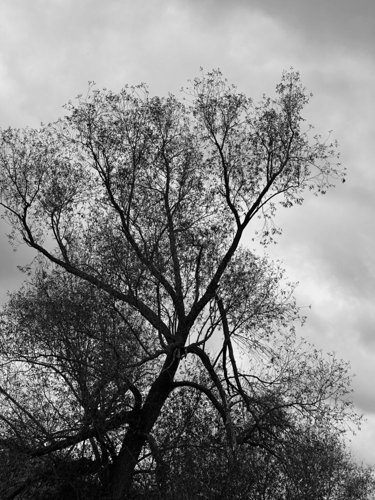 Photograph by Ксения Гулькова