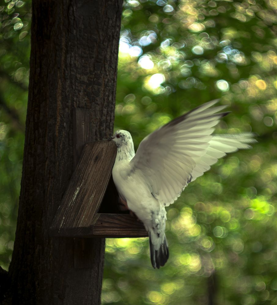 Photograph by Сергей Кравцов