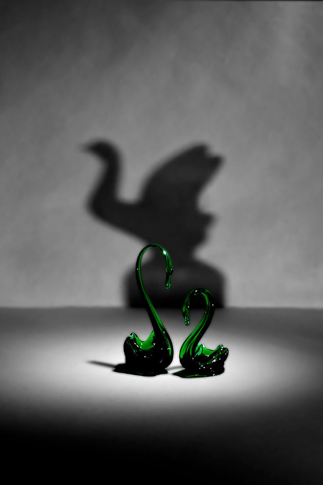 Photograph by Елизавета Шавардина