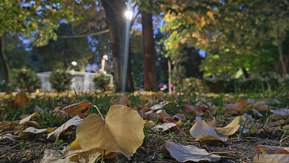 Фотография автора axilleas kampouris