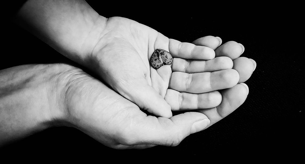 Фотография автора Jana Treija