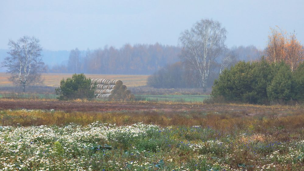Photograph by Николай Протасеня