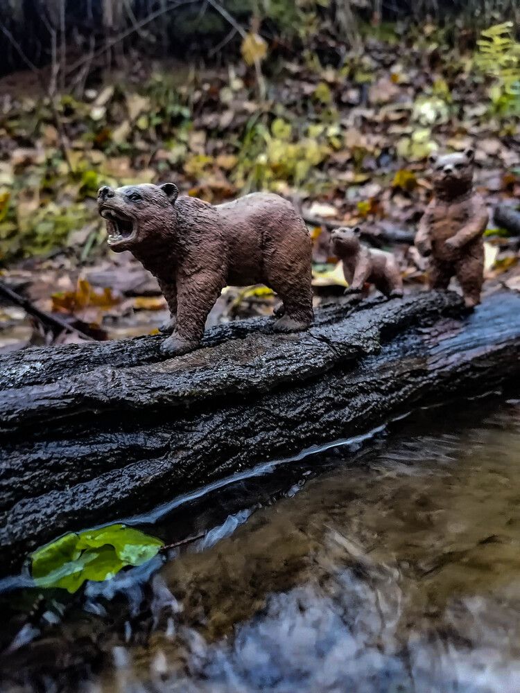 Photograph by Станислав Евсеев