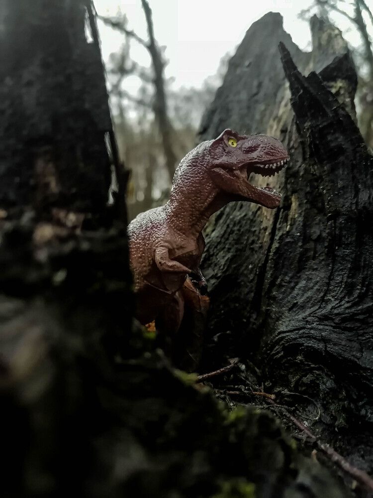 Photograph by Станислав Евсеев