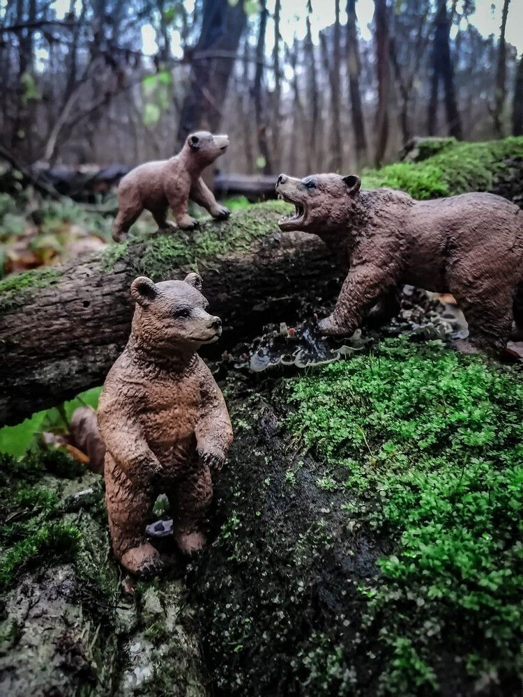 Photograph by Станислав Евсеев