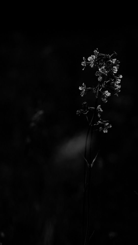 Photograph by Ксения Солодина