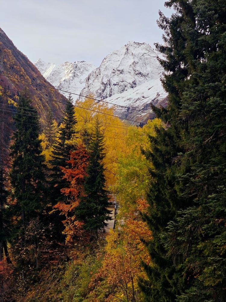 Photograph by Ирина Землячева