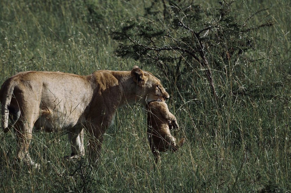 Photograph by Dipanjan Ray