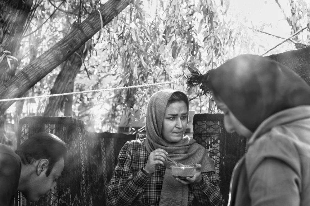 Photograph by Ali Ahmadian
