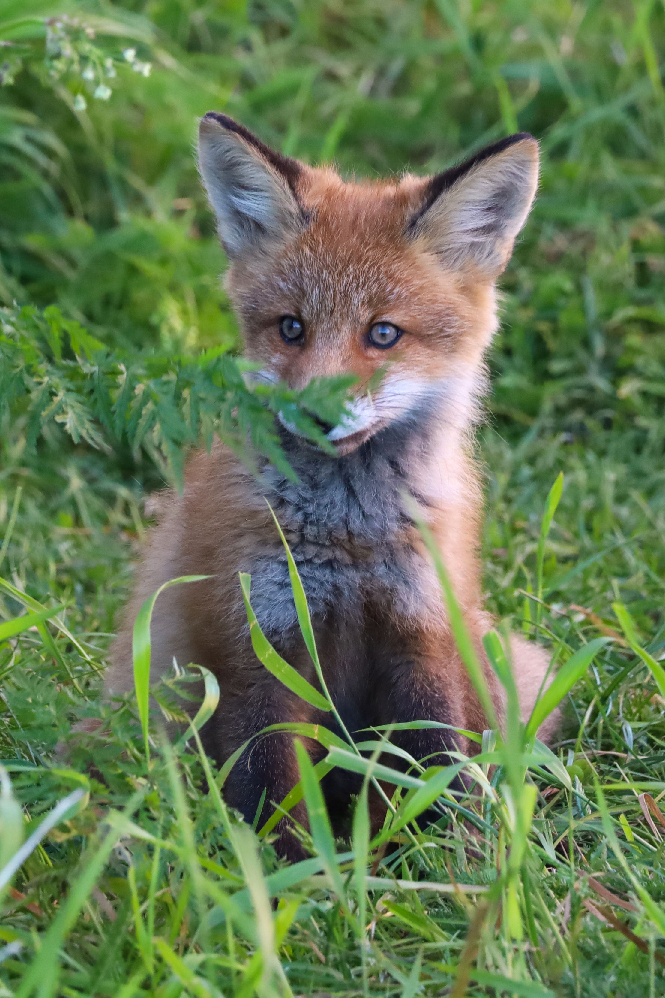 Photograph by Александр Селезнев