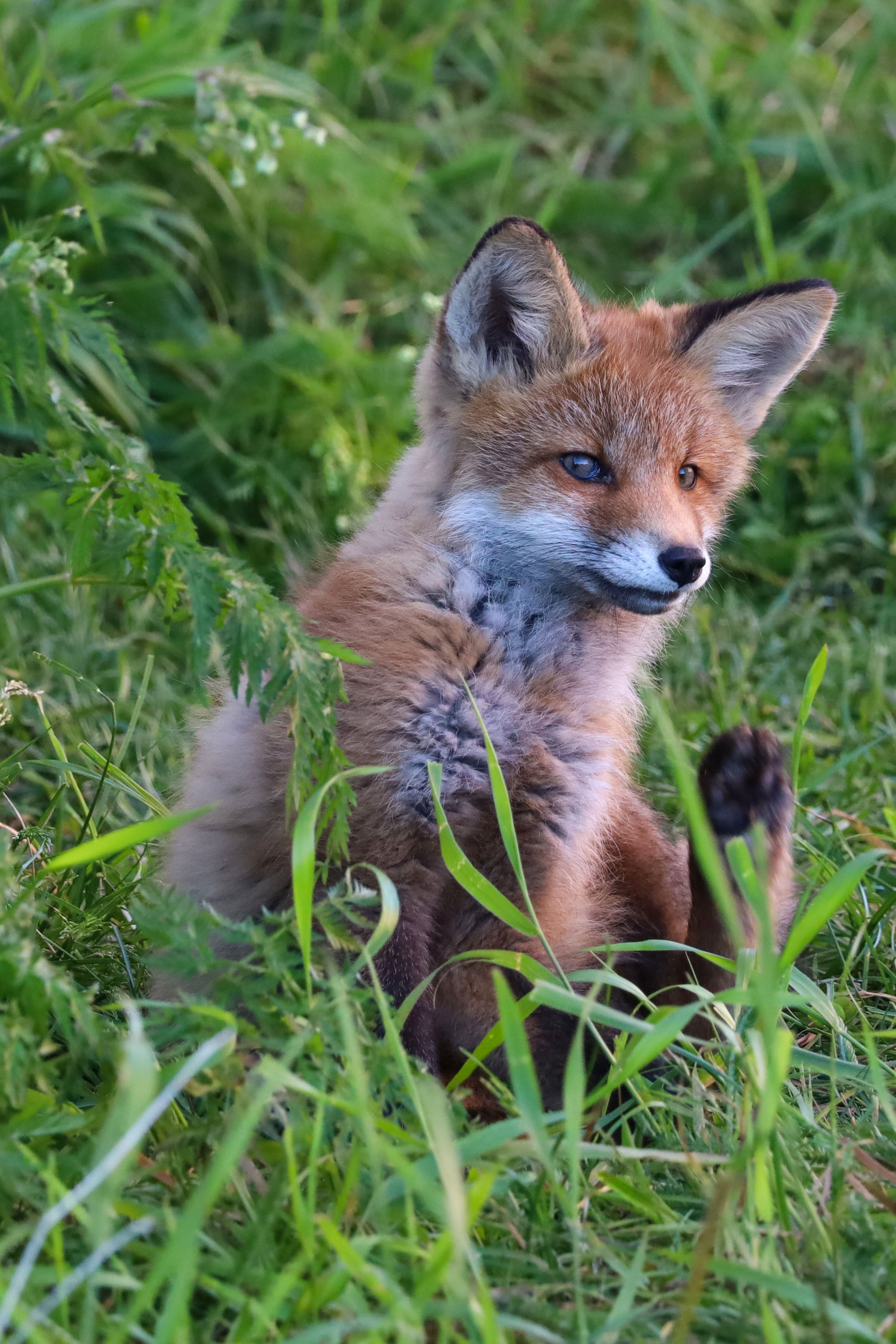 Photograph by Александр Селезнев
