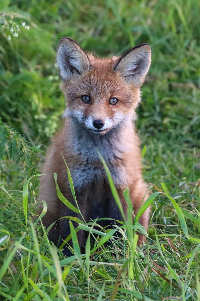 Photograph by Александр Селезнев
