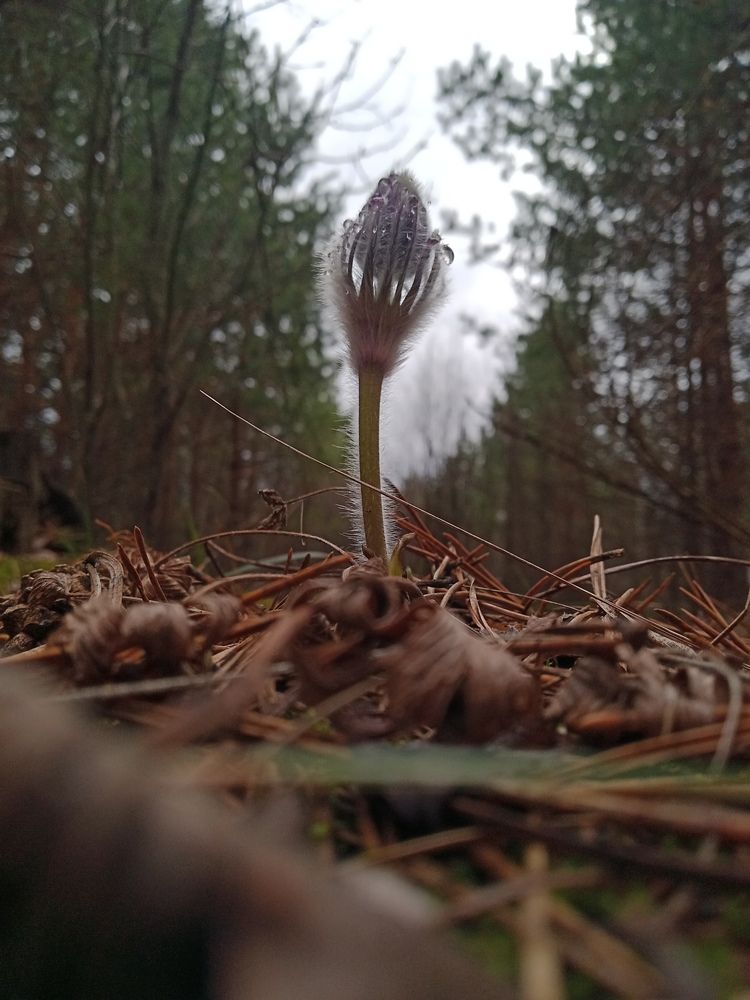 Photograph by Мария Бобылева