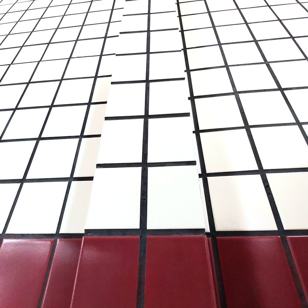 Photograph by Maria da Conceição Queiroz