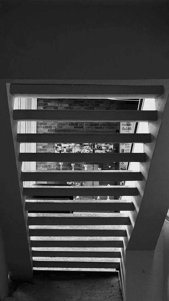 Фотография автора Ольга Логинова