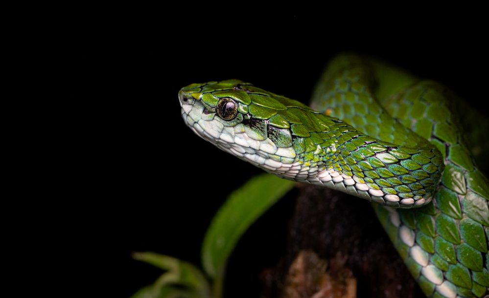 Photograph by Harsha Devalla