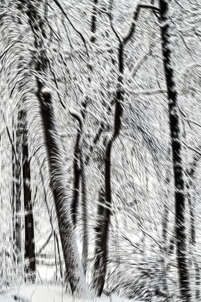 Photograph by Марина Короткова