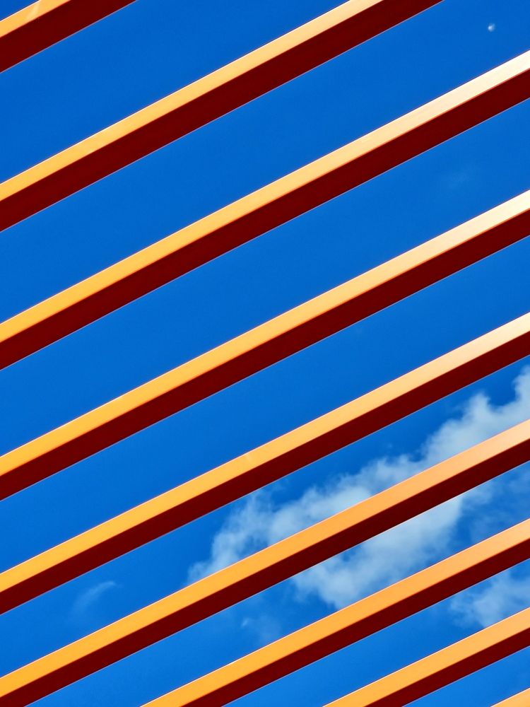 Photograph by Алена Самошина