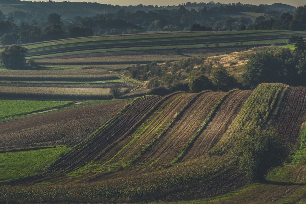 Photograph by Budyta Dariusz