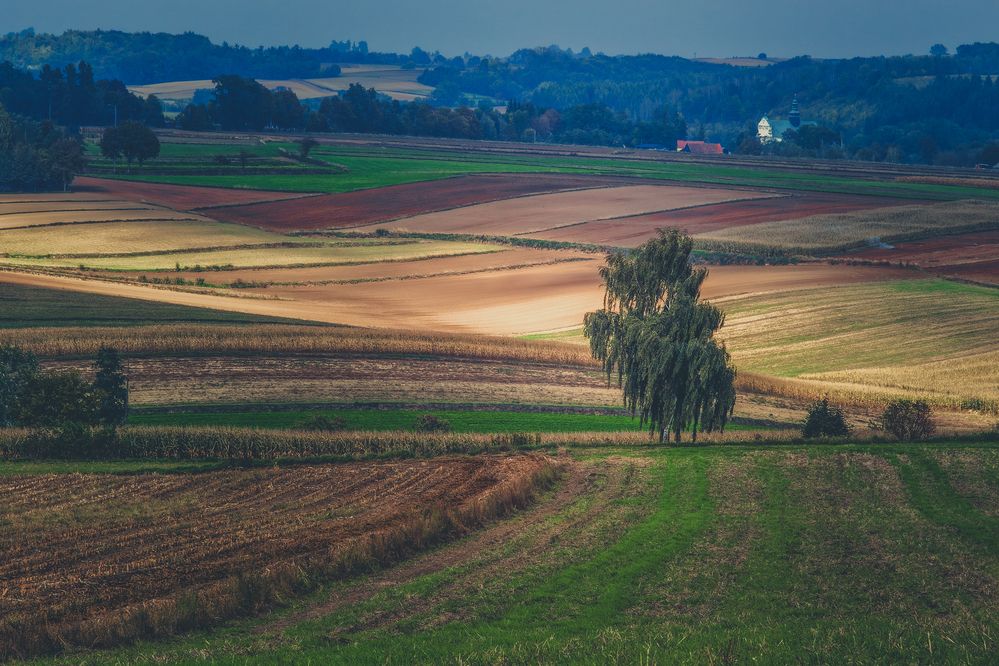 Photograph by Budyta Dariusz