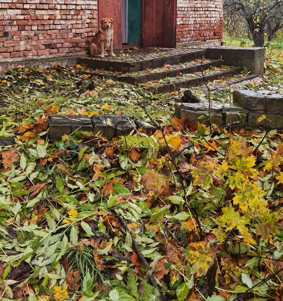 Photograph by Филоненко Николай