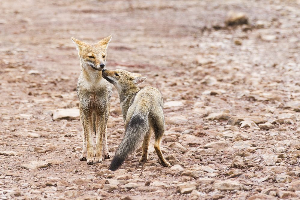 Photograph by JEFFERSON RODRIGUES DE OLIVEIRA E SILVA