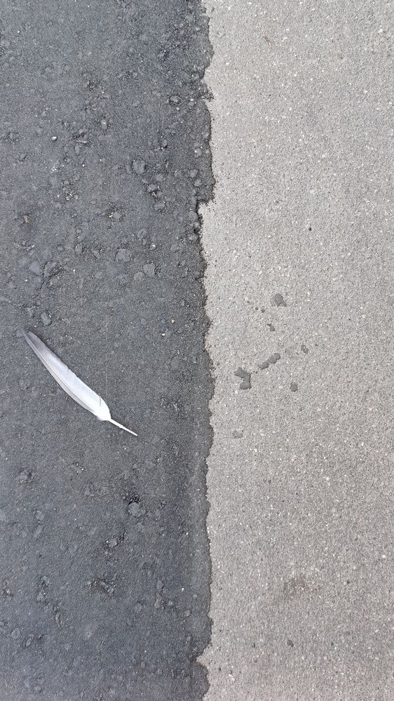 Photograph by Ольга Кириллова