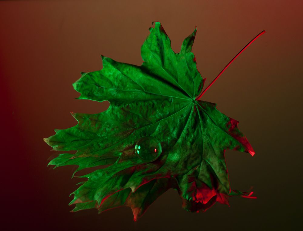 Photograph by Катерина Остапенко