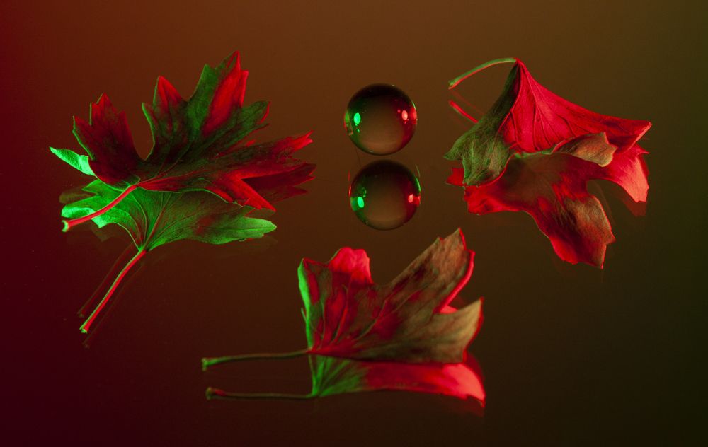 Photograph by Катерина Остапенко