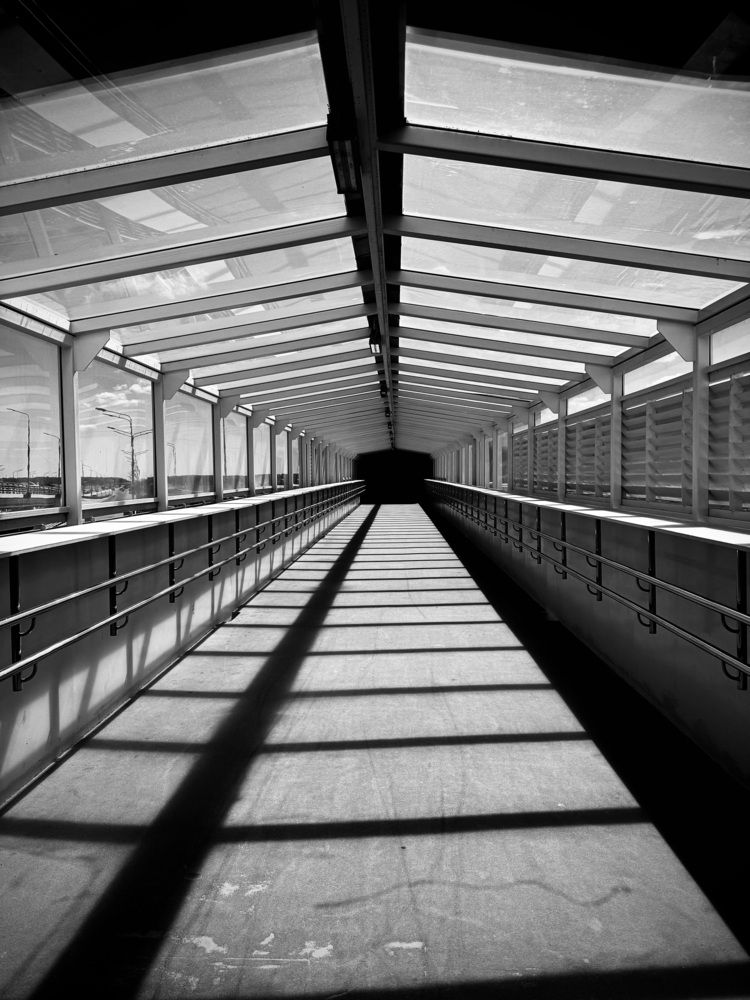 Фотография автора Евгения Елисеева