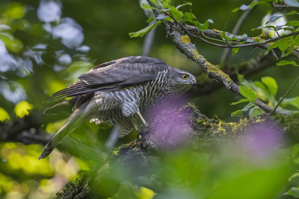 Photograph by Дмитрий Крошка