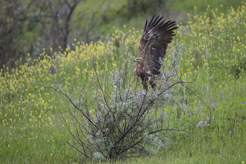 Photograph by Дмитрий Крошка