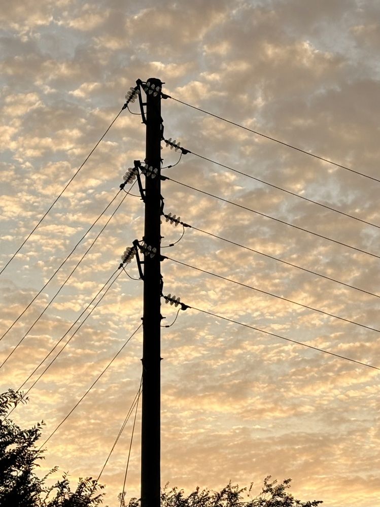 Photograph by Елена Рябова