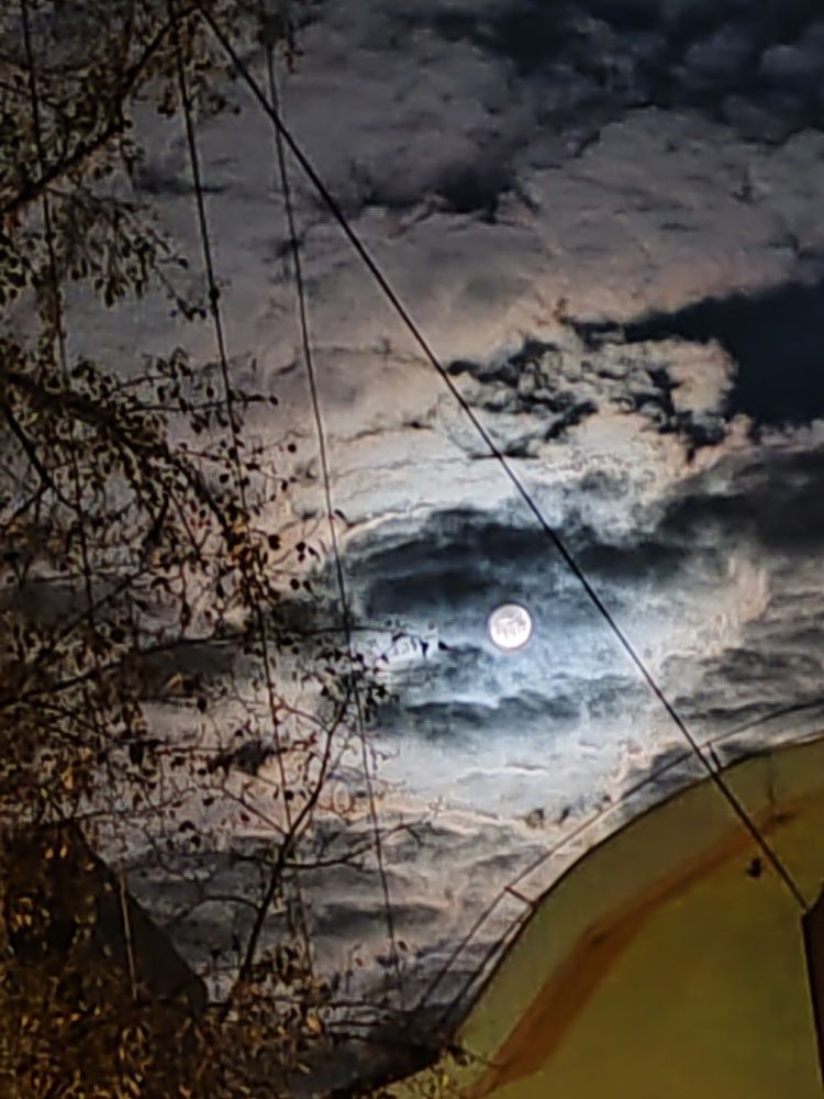 Photograph by Наталья Круглова