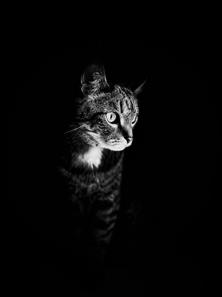 Photograph by Ирина Кожухова