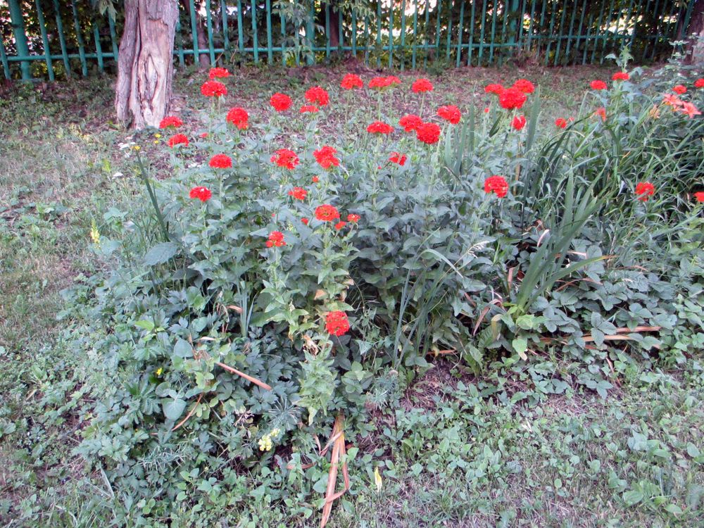 Photograph by Алексей Банных