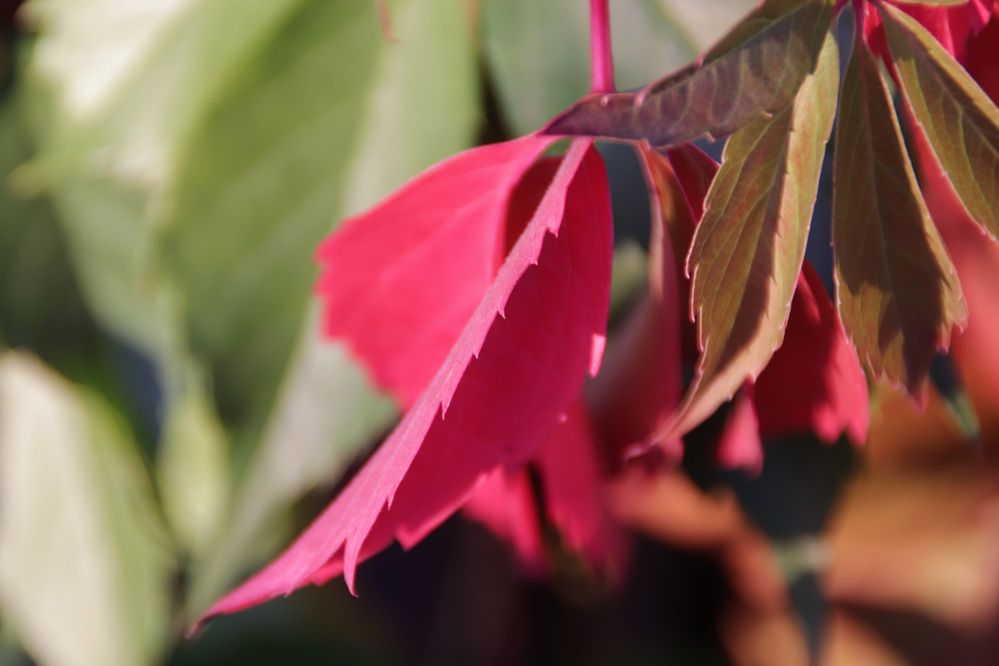 Photograph by Алексей Банных