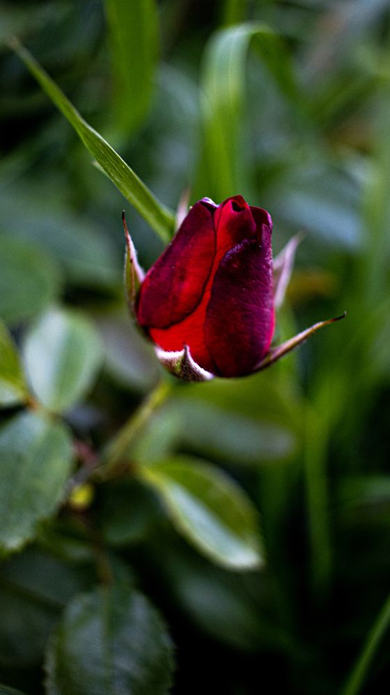 Photograph by Лола Бусыгина