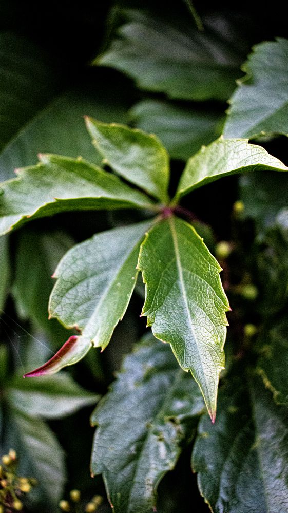 Photograph by Лола Бусыгина