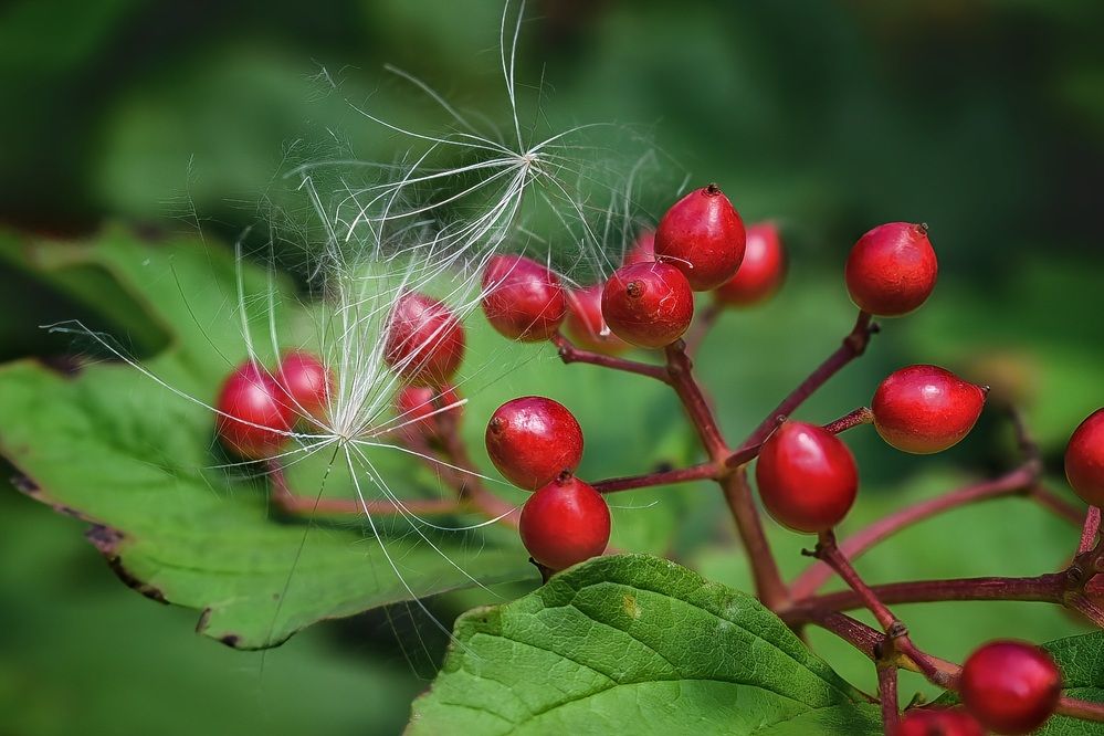Photograph by Оксана Вадалагина