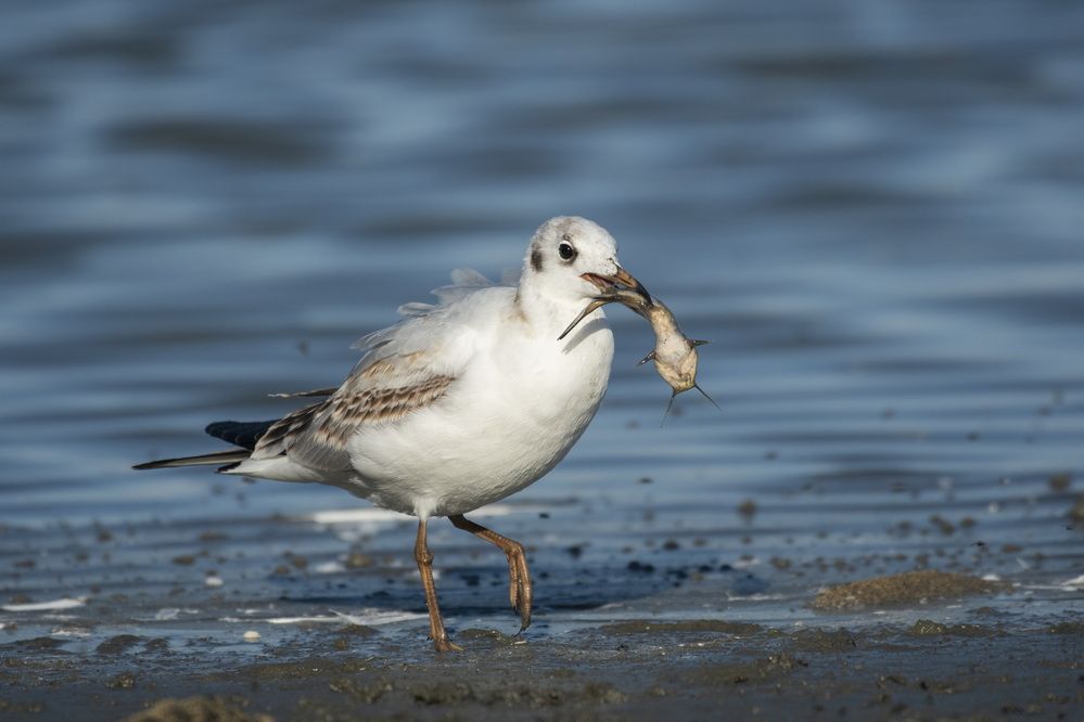 Photograph by Predrag Kostin