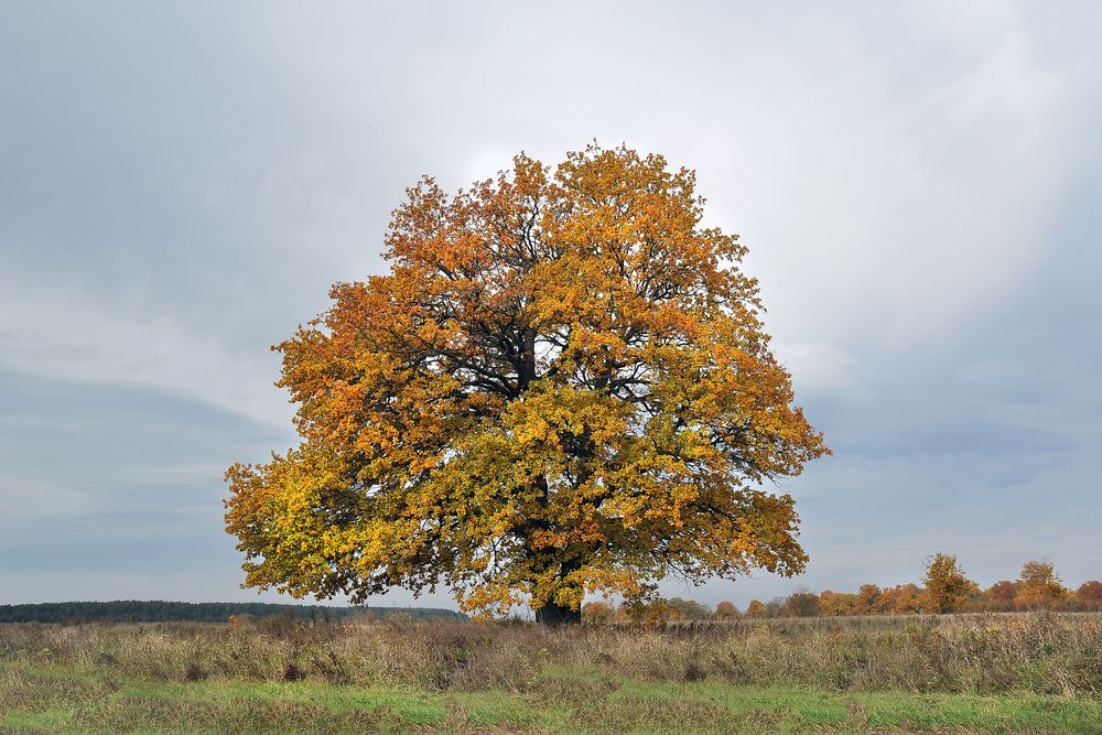 Photograph by Cергей Абакумов