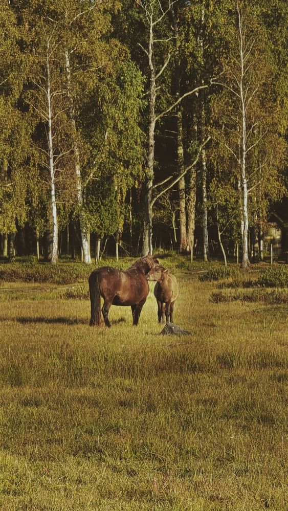 Photograph by Наталия Короленко